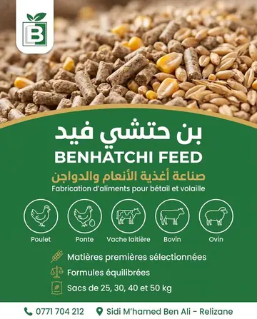 Benhatchi Feed — Presentation