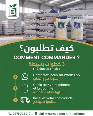 Benhatchi Feed — How to order